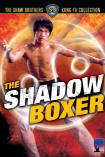 دانلود دوبله فارسی فیلم The Shadow Boxer 1974