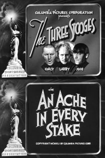 دانلود دوبله فارسی فیلم An Ache in Every Stake 1941