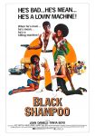 دانلود دوبله فارسی فیلم Black Shampoo 1976