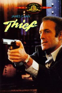 دانلود دوبله فارسی فیلم Thief 1981