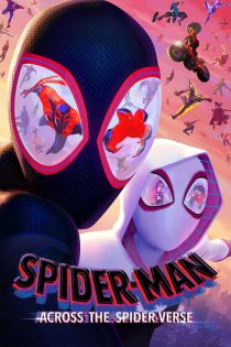 دانلود دوبله فارسی فیلم Spider-Man: Across the Spider-Verse 2023