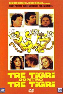 دانلود دوبله فارسی فیلم Three Tigers Against Three Tigers 1977