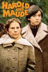 دانلود دوبله فارسی فیلم Harold and Maude 1971