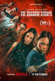 دانلود دوبله فارسی فیلم The Shadow Strays 2024