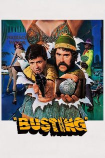 دانلود دوبله فارسی فیلم Busting 1974